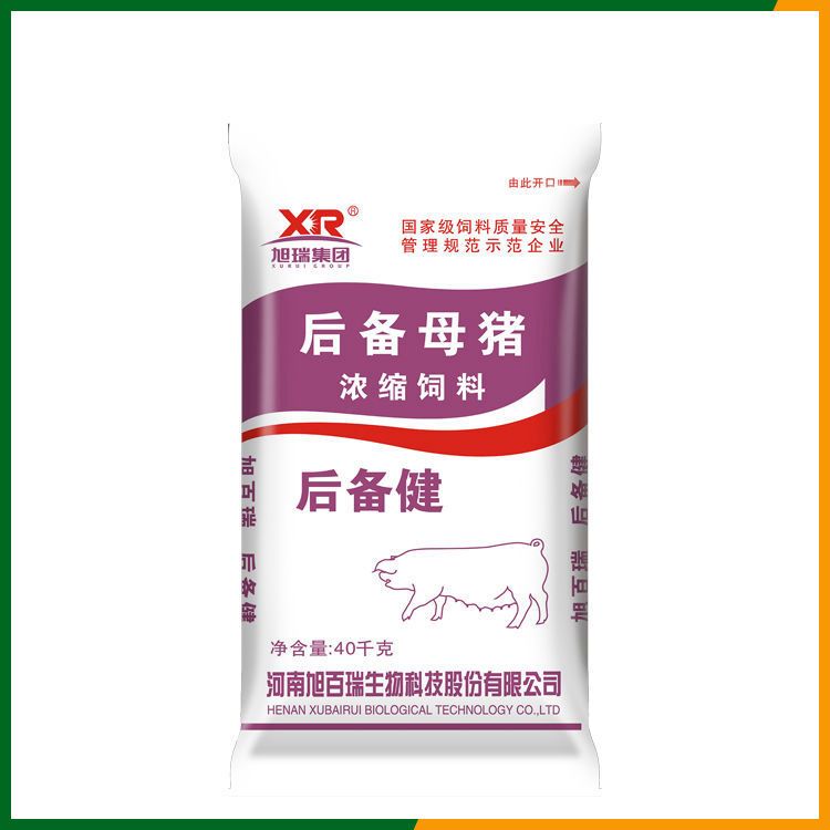 后备健